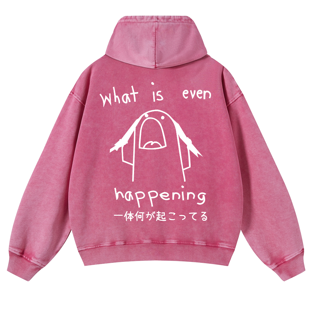 What Is Even Happening Vintage Washed Cotton Back Art Hoodie