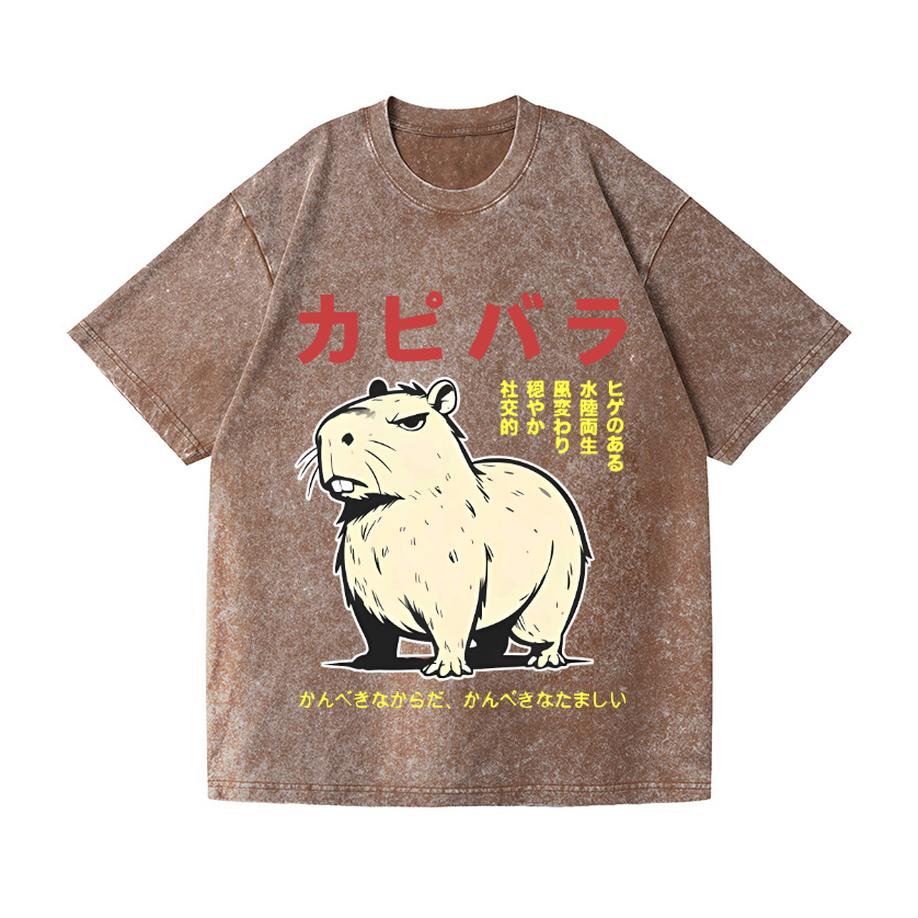 Capybara Vintage Wash Japanese Design T-Shirt