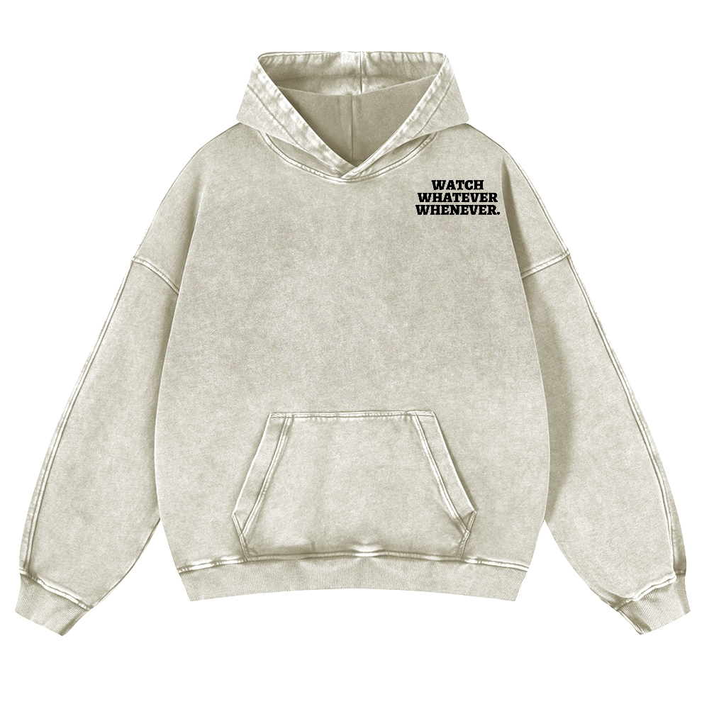 Sony Betamax Vintage Washed Cotton Back Art Hoodie