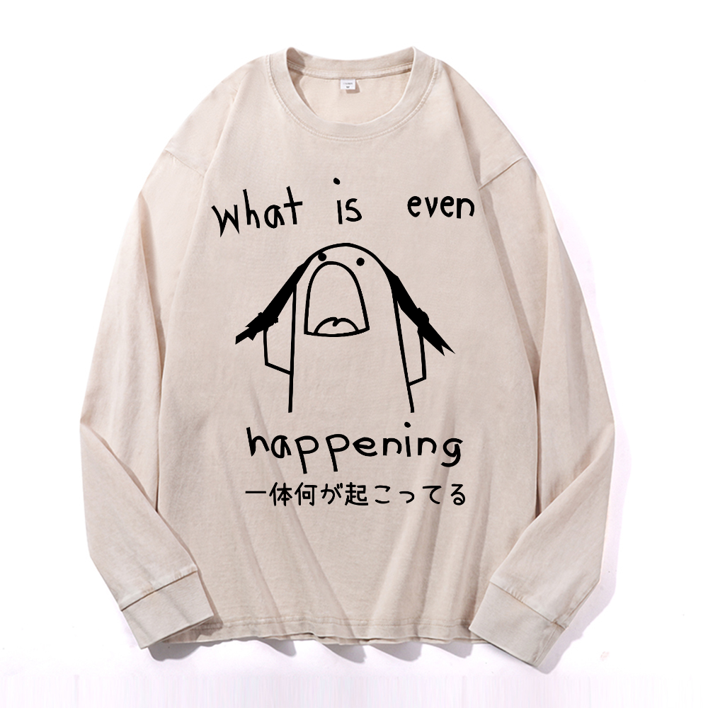 What Is Even Happening Vintage Cotton Wash Long-sleeve T-shirt