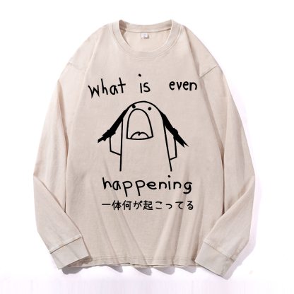What Is Even Happening Vintage Cotton Wash Long-sleeve T-shirt