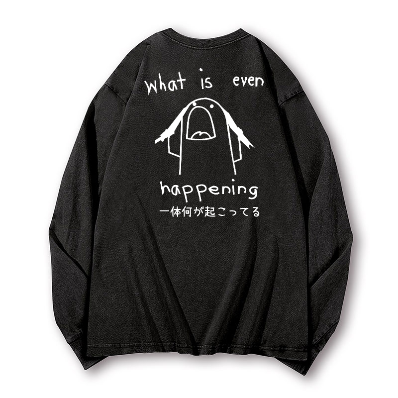 What Is Happening Vintage Washed Cotton Back Art Long-sleeve T-shirt