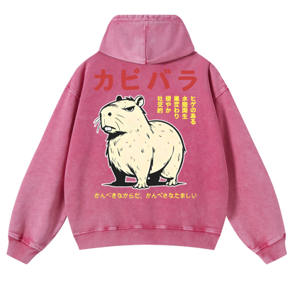 Capybara Vintage Washed Cotton Back Art Hoodie