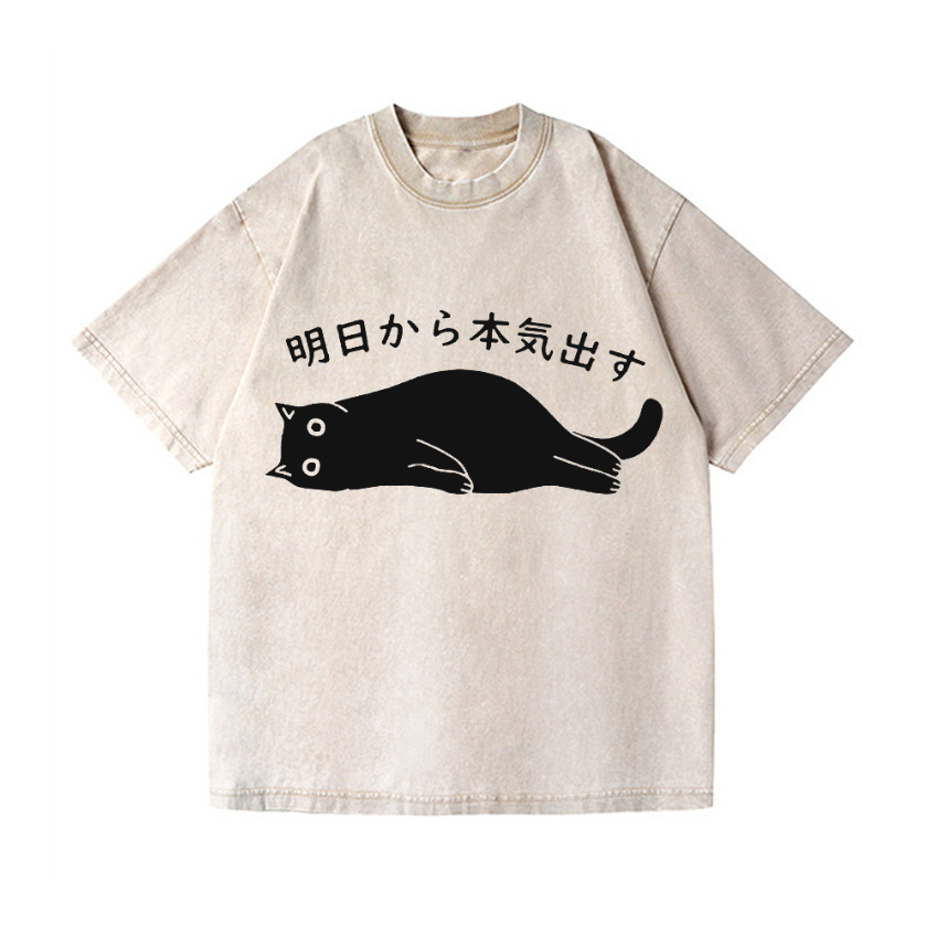 Vintage Wash Japanese Design T-Shirt