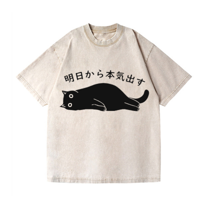 Vintage Wash Japanese Design T-Shirt