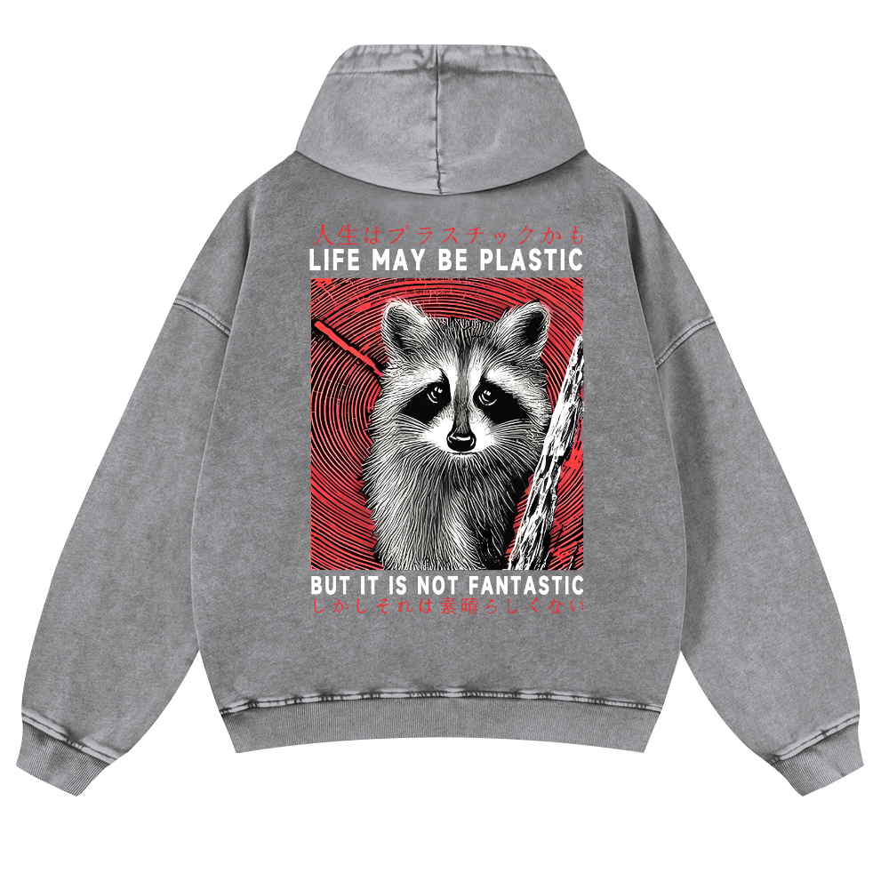 Raccoon Vintage Washed Cotton Back Art Hoodie