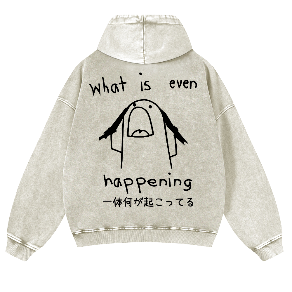 What Is Even Happening Vintage Washed Cotton Back Art Hoodie