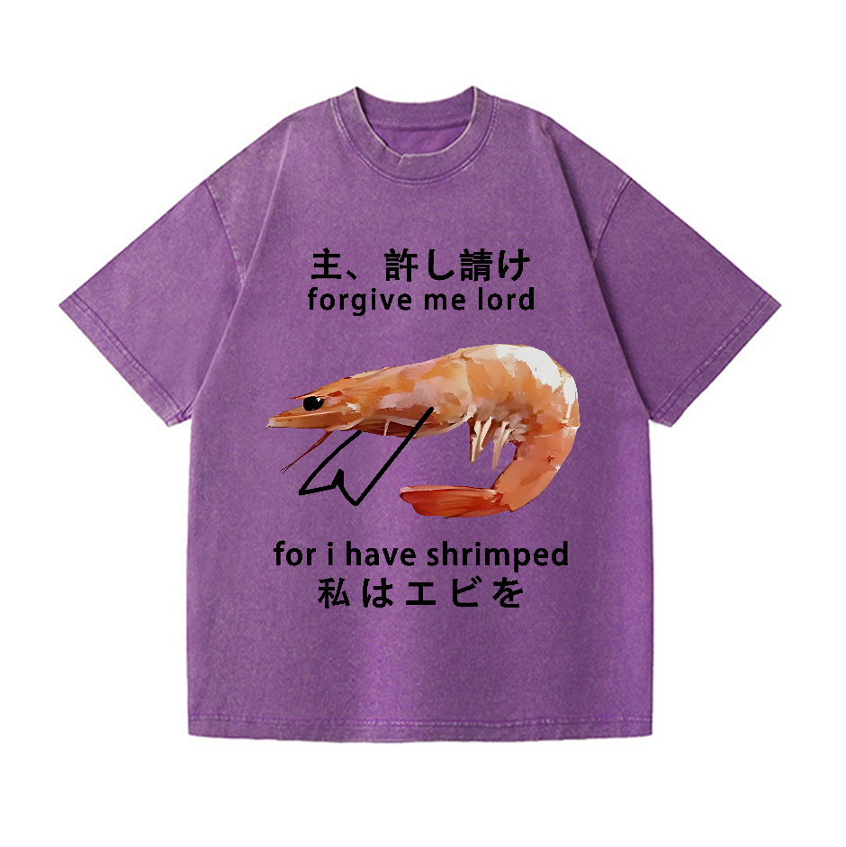 Shrimp Vintage Wash Japanese Design T-Shirt