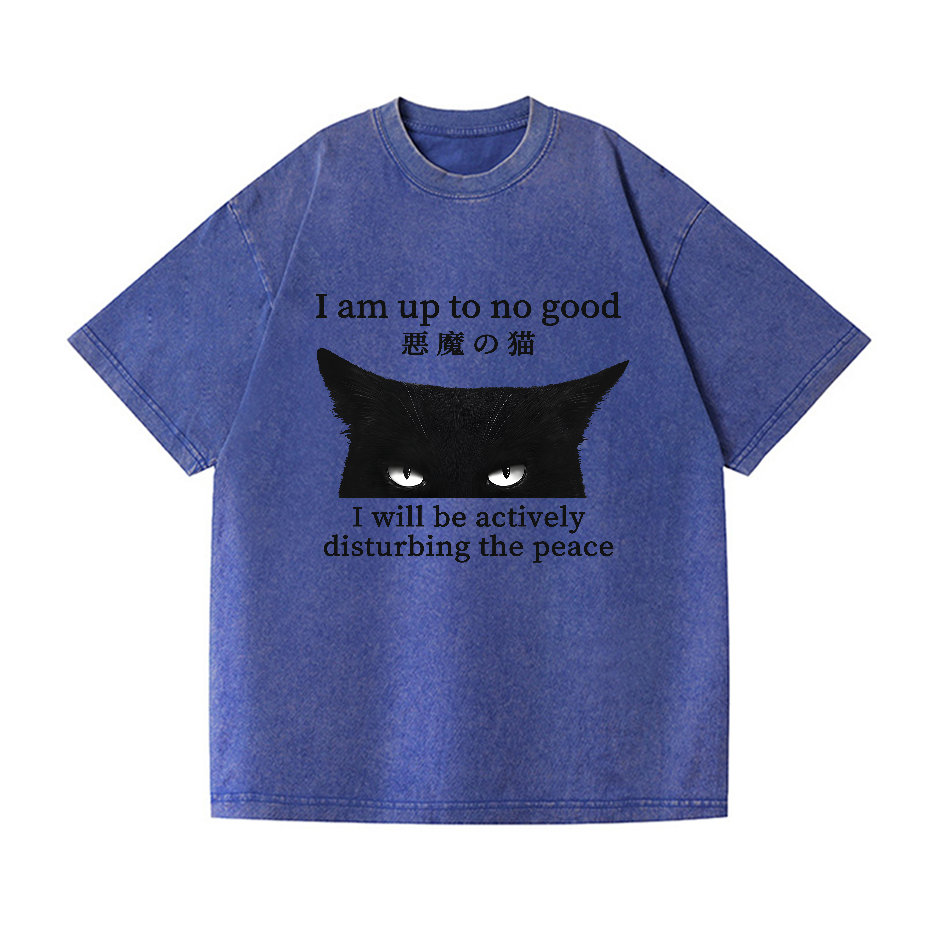 Devil Cat Vintage Wash Japanese Design T-Shirt