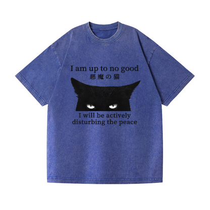 Devil Cat Vintage Wash Japanese Design T-Shirt
