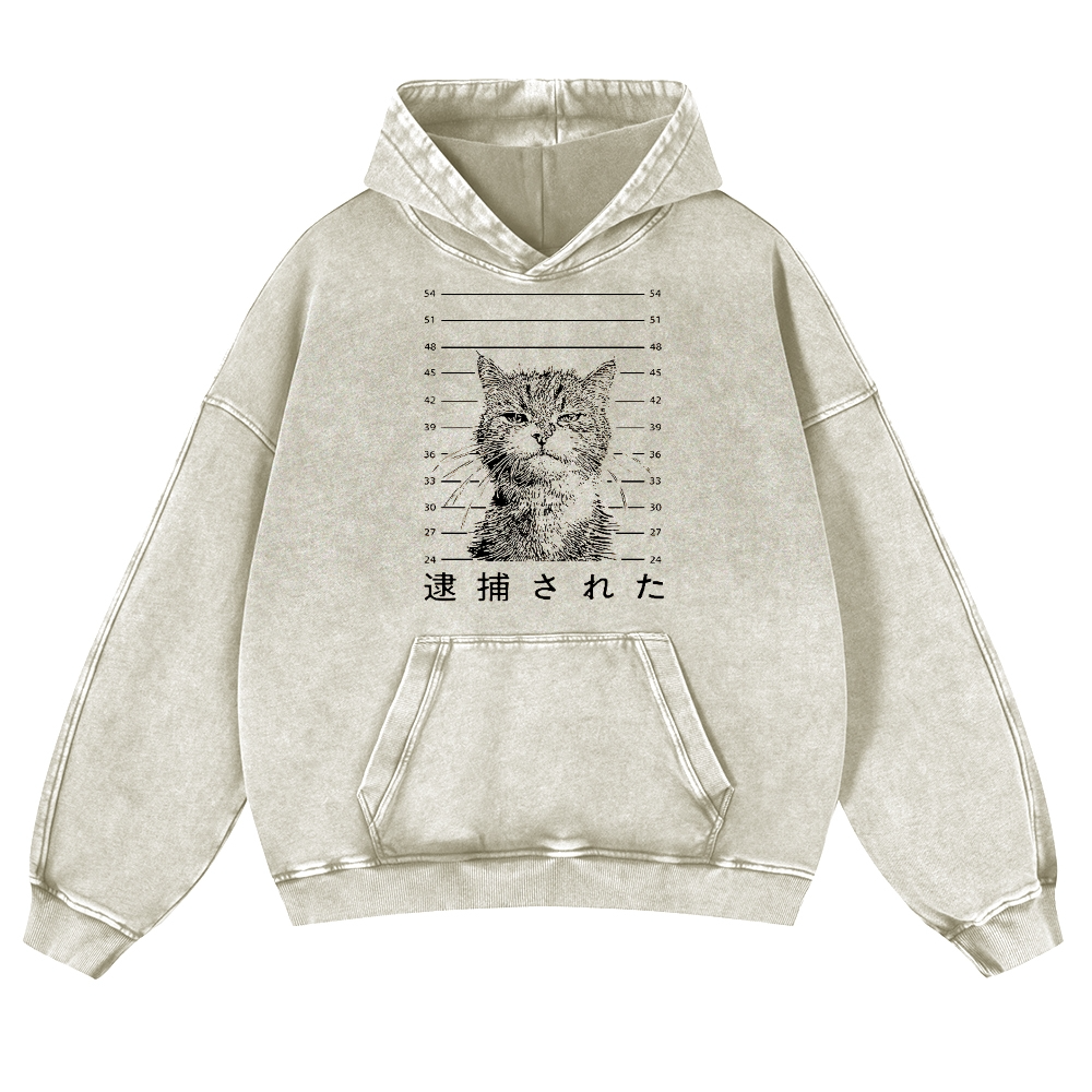 Arrested Cat Vintage Washed Thick Cotton Hoodie