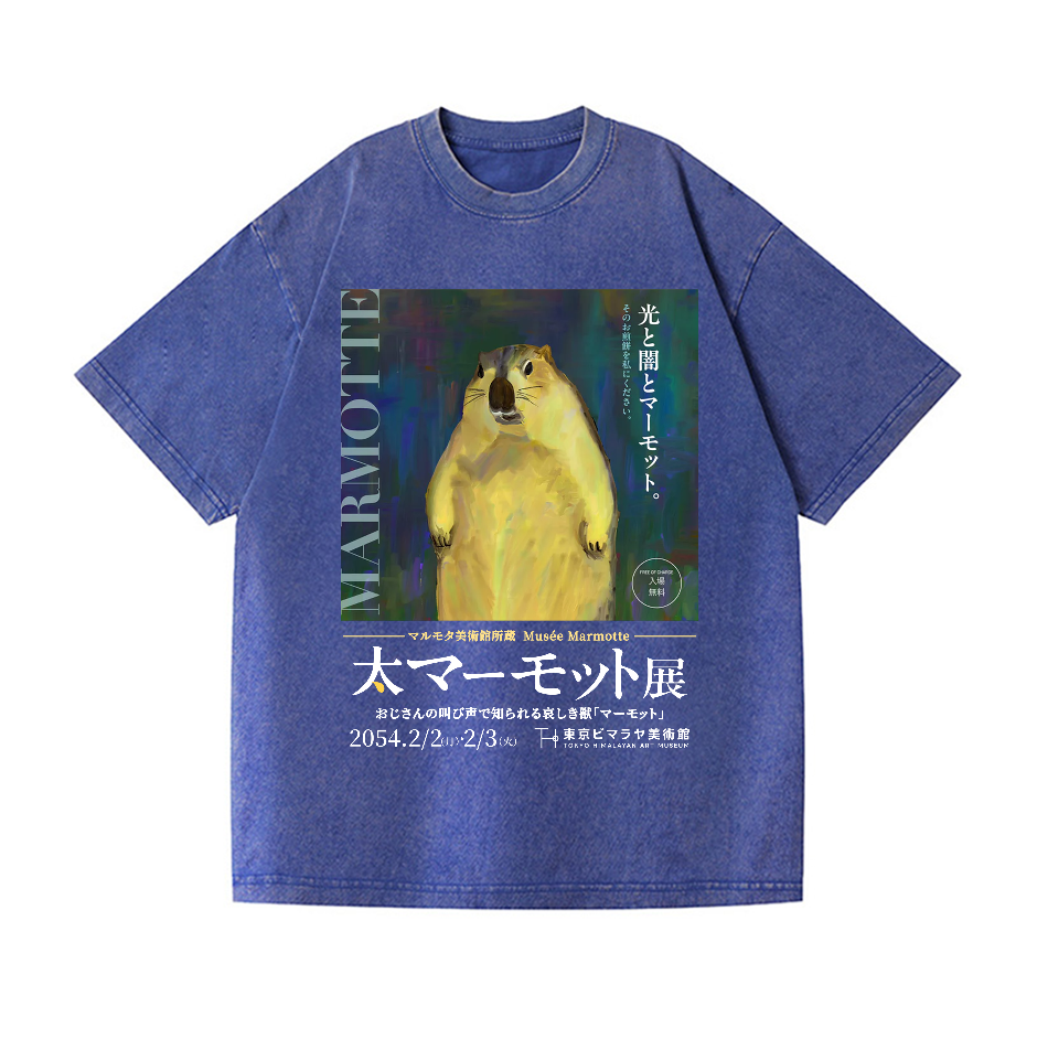 Marmot Vintage Wash Japanese Design T-Shirt