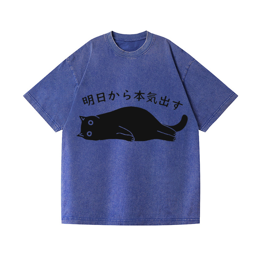 Vintage Wash Japanese Design T-Shirt