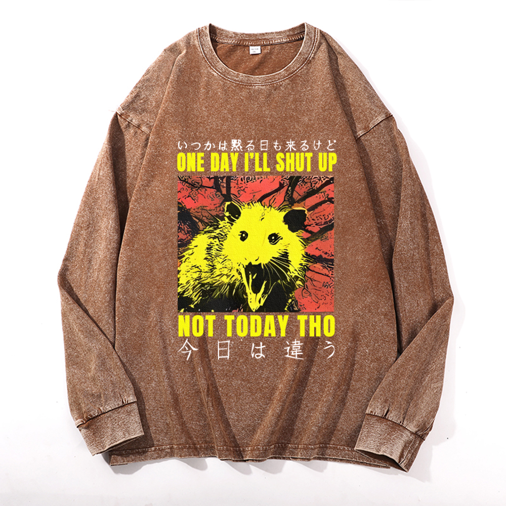 Vintage Cotton Wash Crewneck Sweatshirt