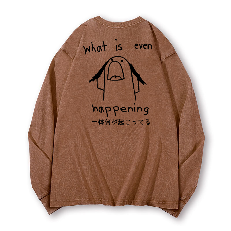 What Is Happening Vintage Washed Cotton Back Art Long-sleeve T-shirt