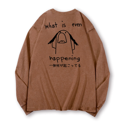 What Is Happening Vintage Washed Cotton Back Art Long-sleeve T-shirt