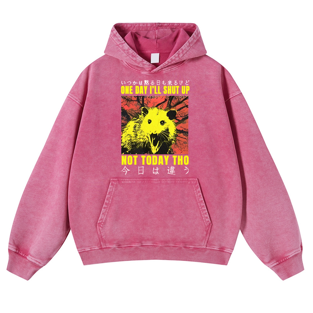 No Silence Today Vintage Washed Thick Cotton Hoodie