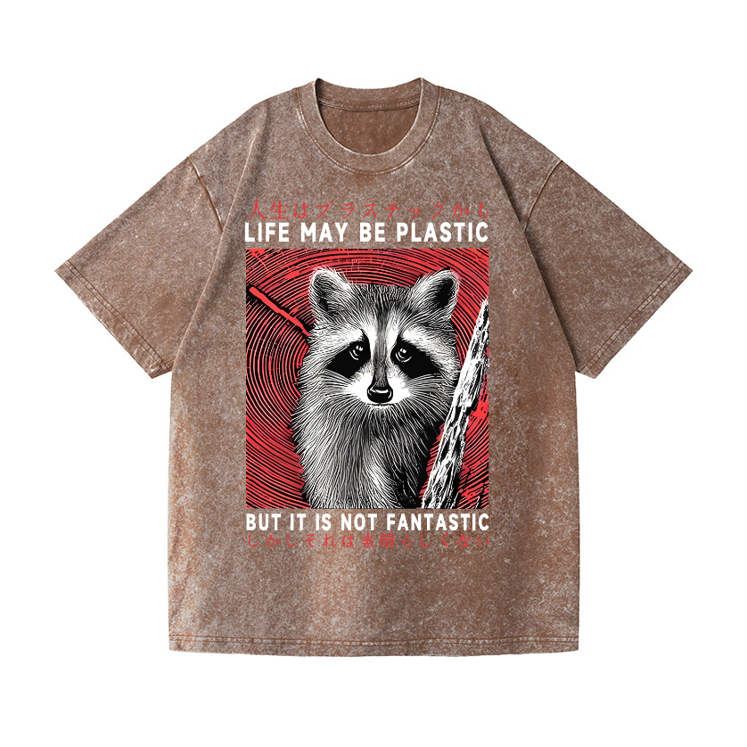 Raccoon Vintage Wash Japanese Design T-Shirt