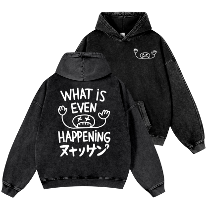 What Is Happening Vintage Washed Cotton Back Art Hoodie