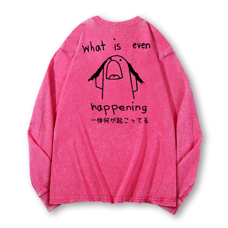 What Is Happening Vintage Washed Cotton Back Art Long-sleeve T-shirt