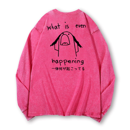 What Is Happening Vintage Washed Cotton Back Art Long-sleeve T-shirt