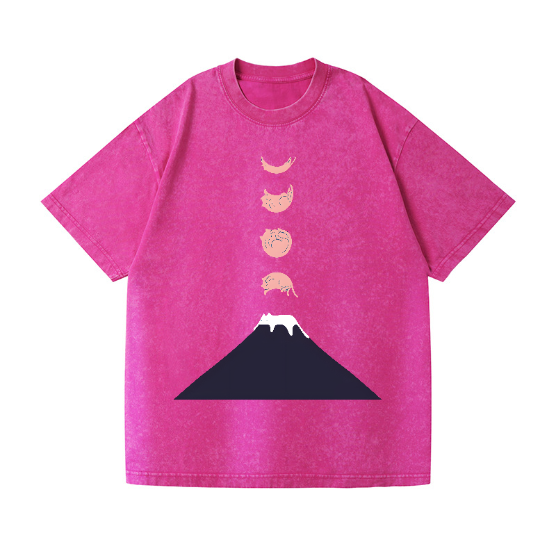Mount FUJI Moon Cat Vintage Wash Japanese Design T-Shirt