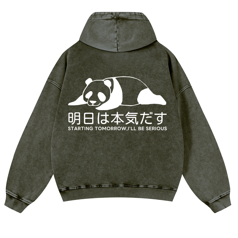 Starting Tomorrow, I'Ll Be Serious Vintage Washed Cotton Back Art Hoodie