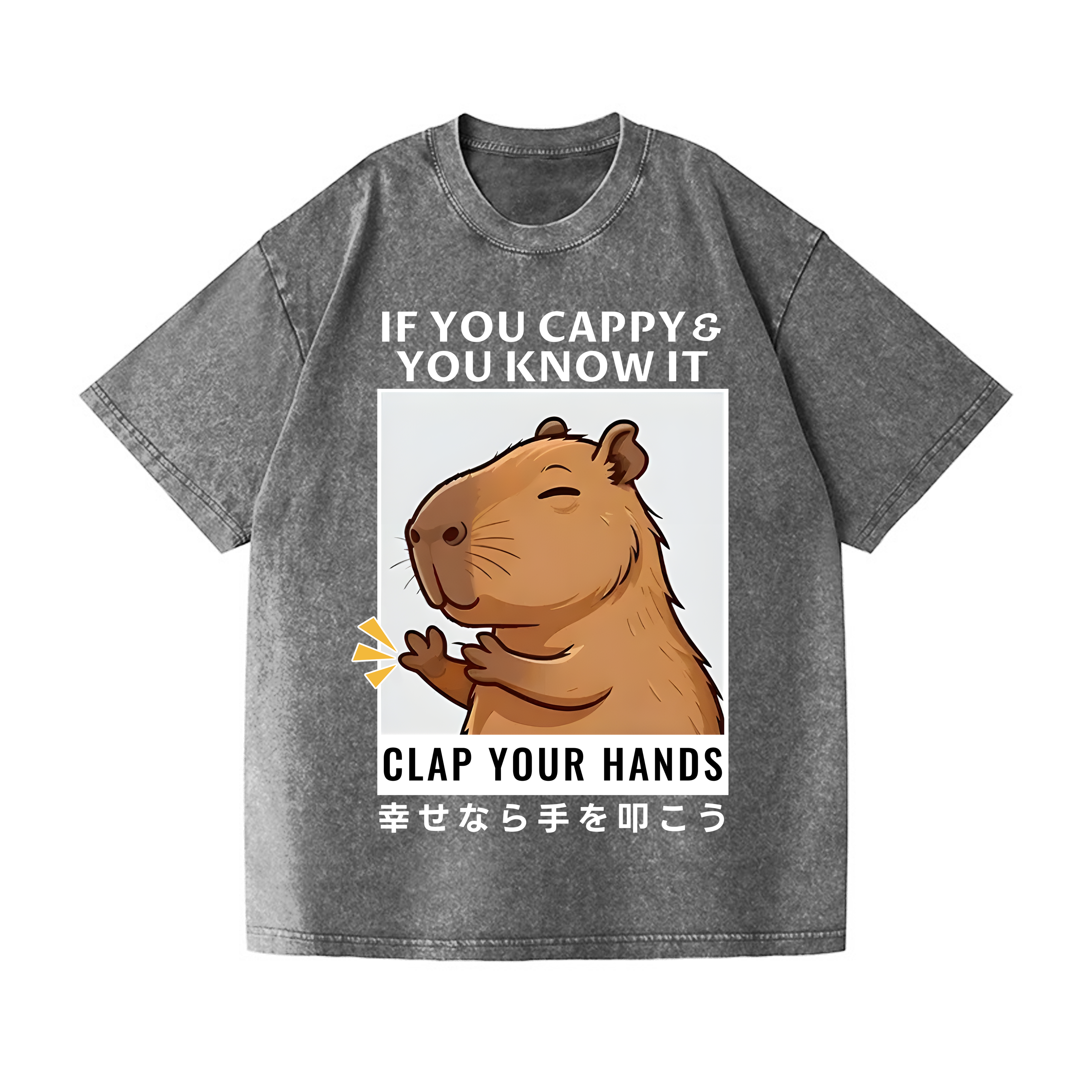 Capybara Vintage Wash Japanese Design T-Shirt
