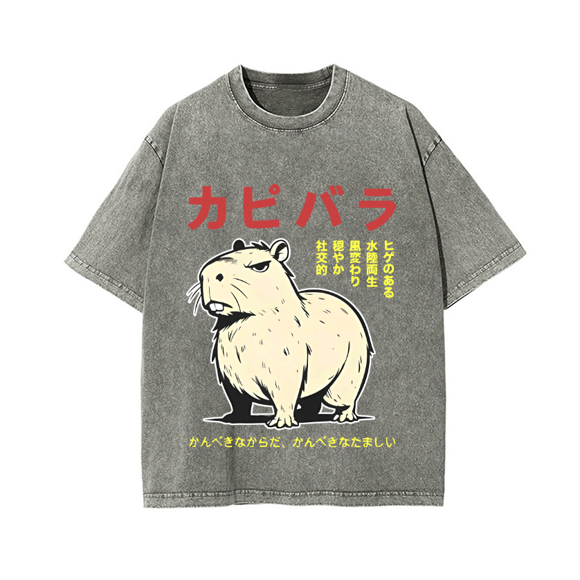 Capybara Vintage Wash Japanese Design T-Shirt