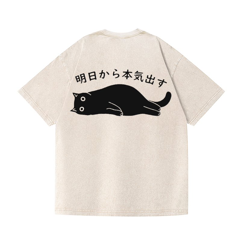 Cat Vintage Wash Japanese Design Back Art T-Shirt