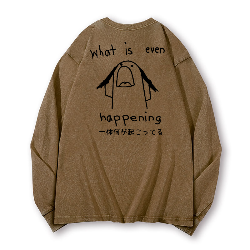 What Is Happening Vintage Washed Cotton Back Art Long-sleeve T-shirt
