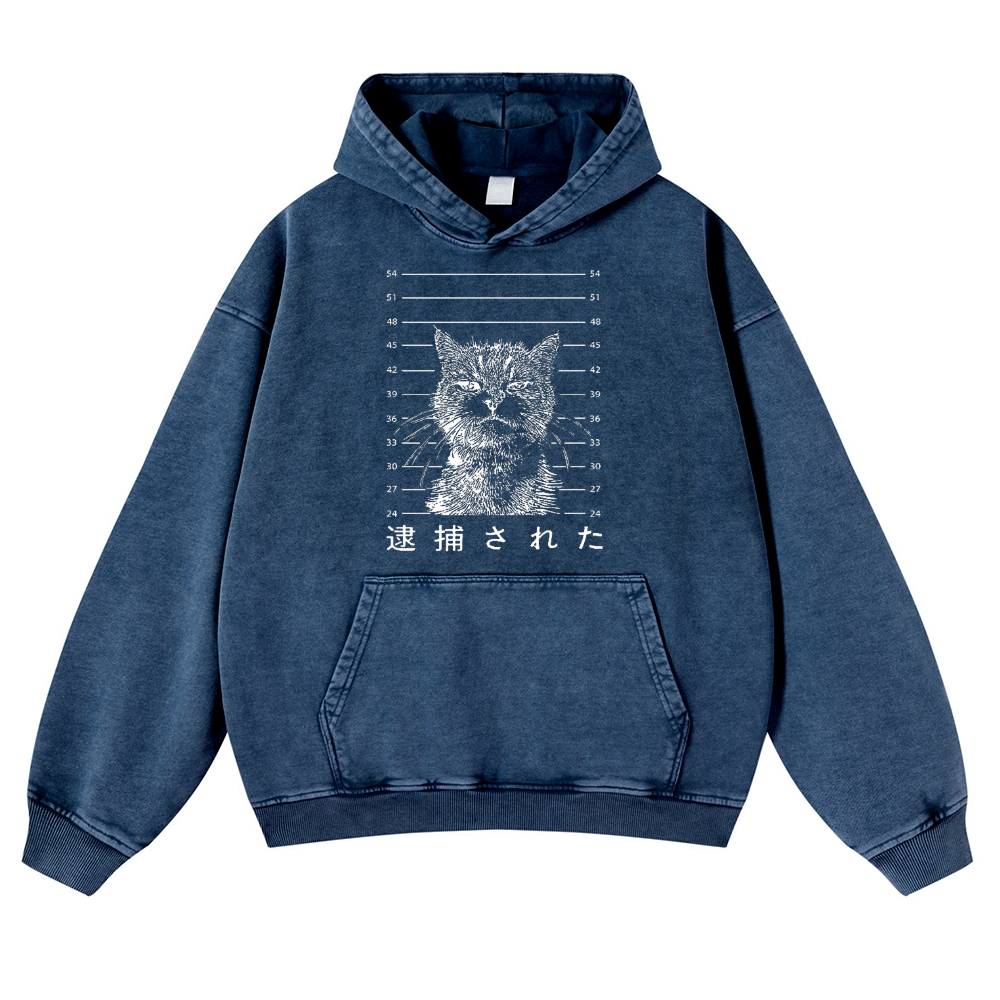 Arrested Cat Vintage Washed Thick Cotton Hoodie
