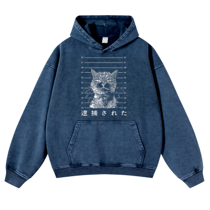 Arrested Cat Vintage Washed Thick Cotton Hoodie