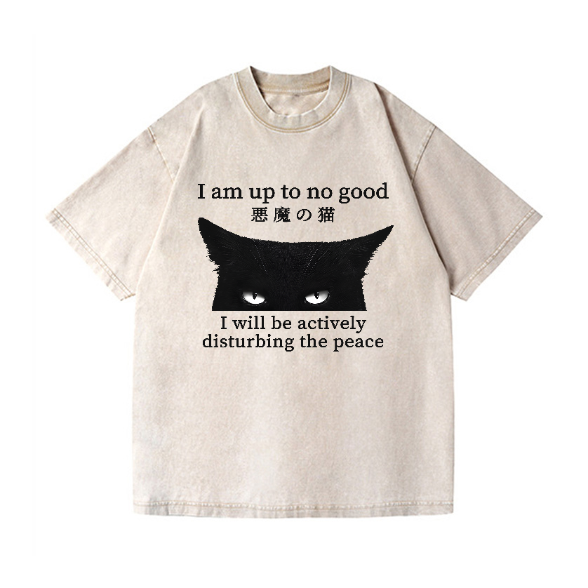 Devil Cat Vintage Wash Japanese Design T-Shirt