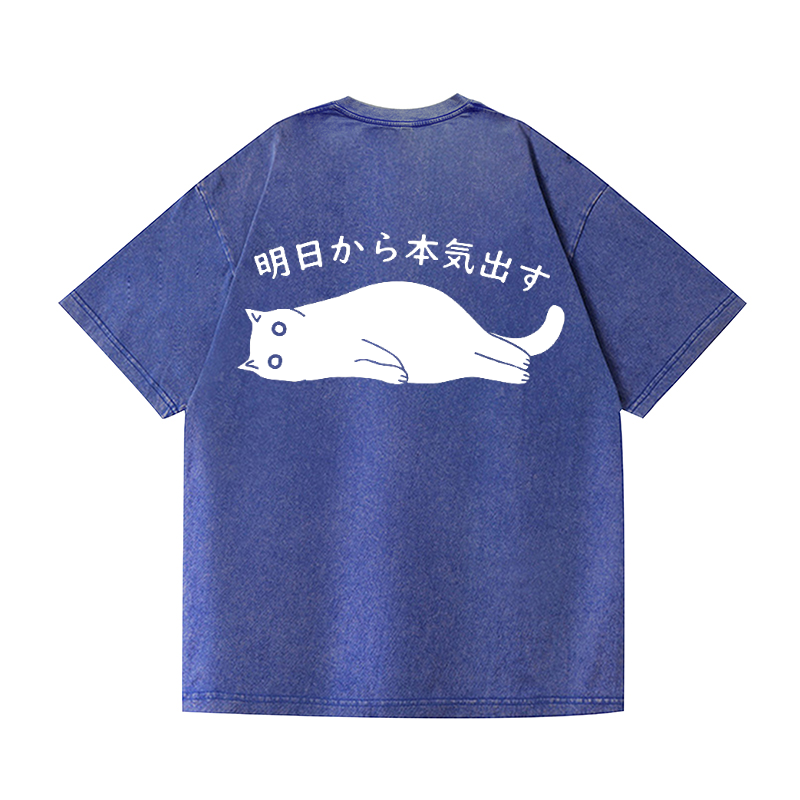 Cat Vintage Wash Japanese Design Back Art T-Shirt