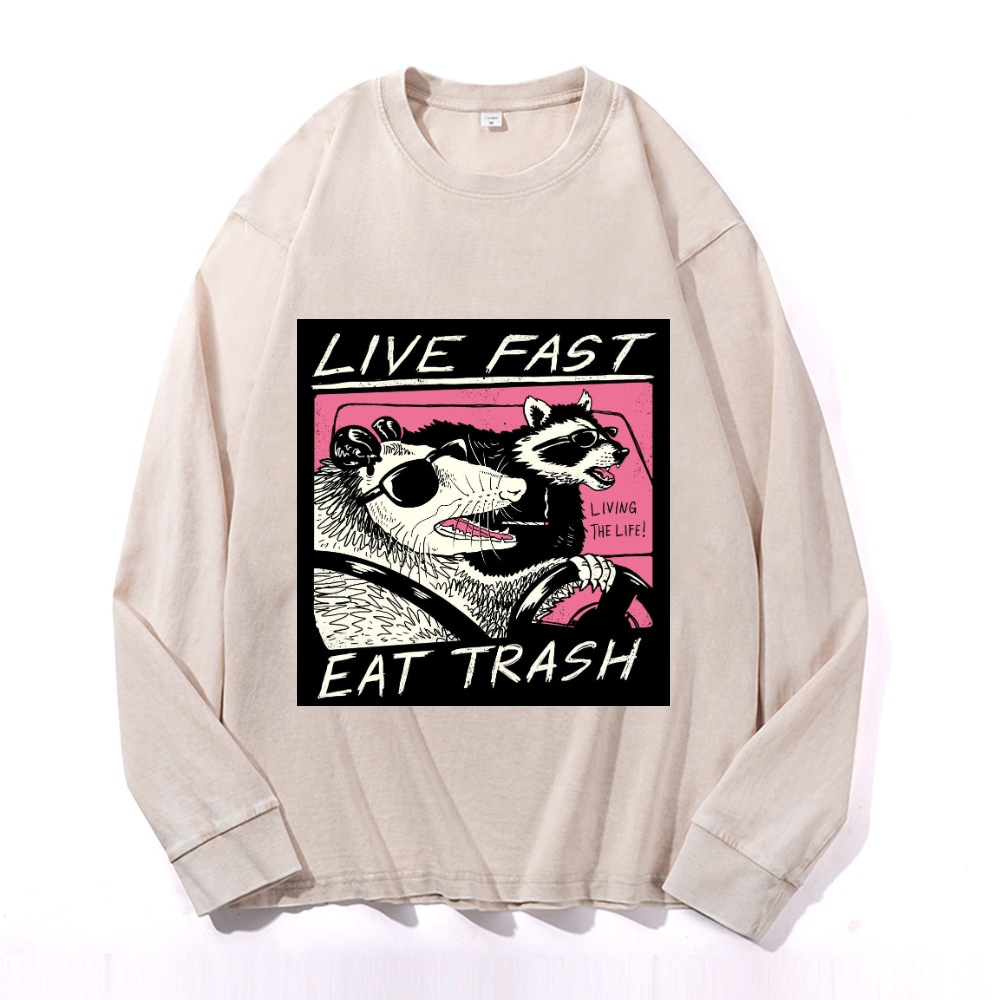 Vintage Cotton Wash Crewneck Sweatshirt