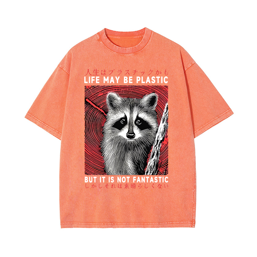 Raccoon Vintage Wash Japanese Design T-Shirt