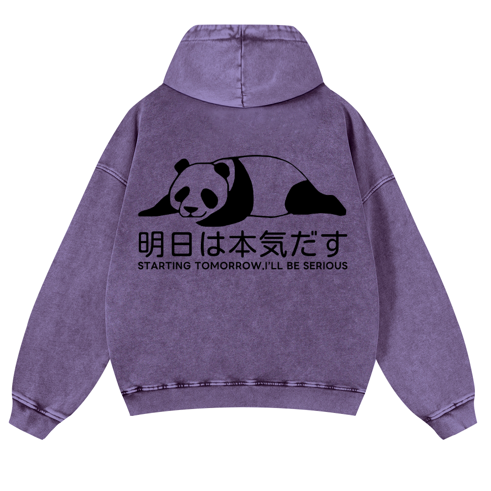 Starting Tomorrow, I'Ll Be Serious Vintage Washed Cotton Back Art Hoodie