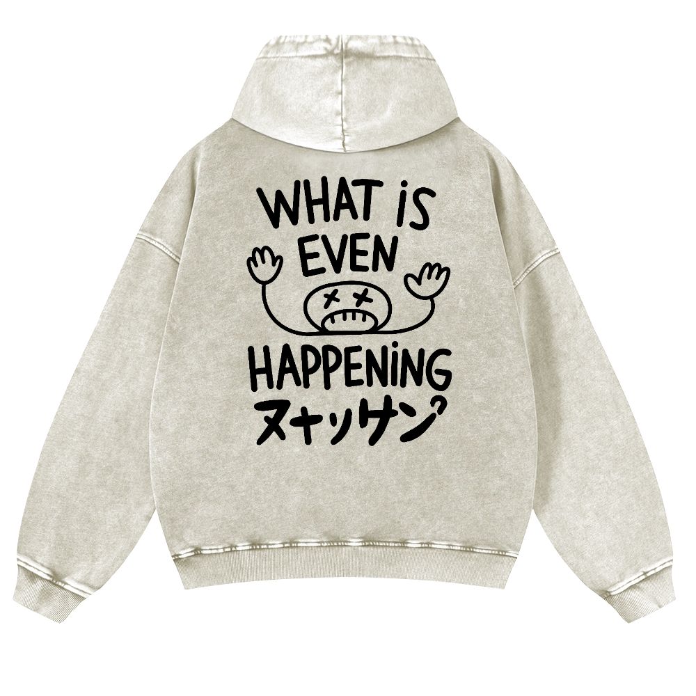 What Is Happening Vintage Washed Cotton Back Art Hoodie