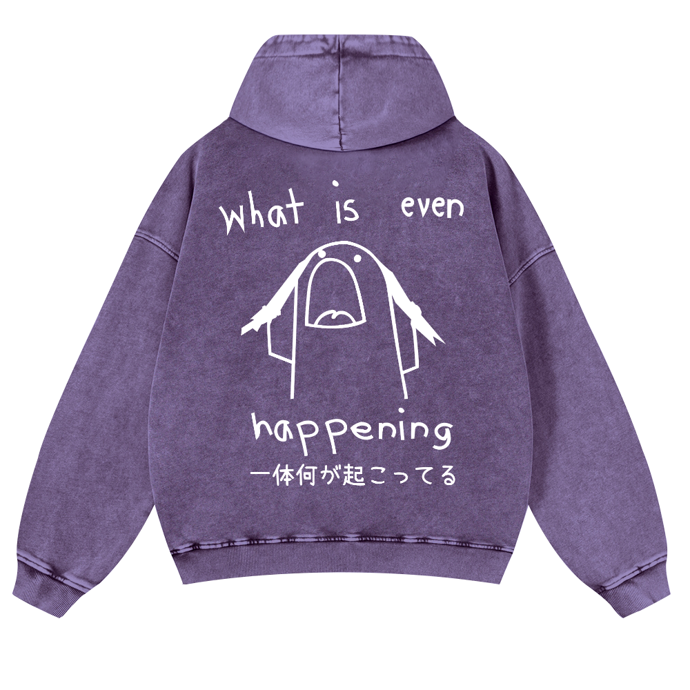 What Is Even Happening Vintage Washed Cotton Back Art Hoodie