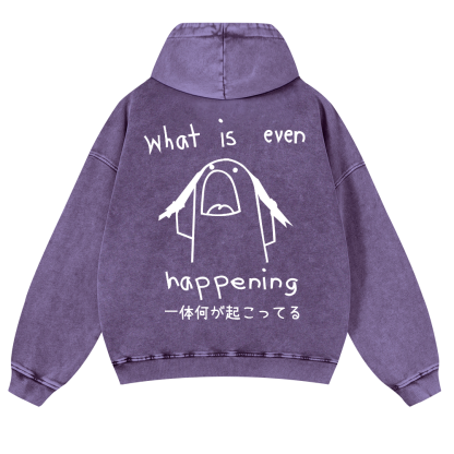What Is Even Happening Vintage Washed Cotton Back Art Hoodie