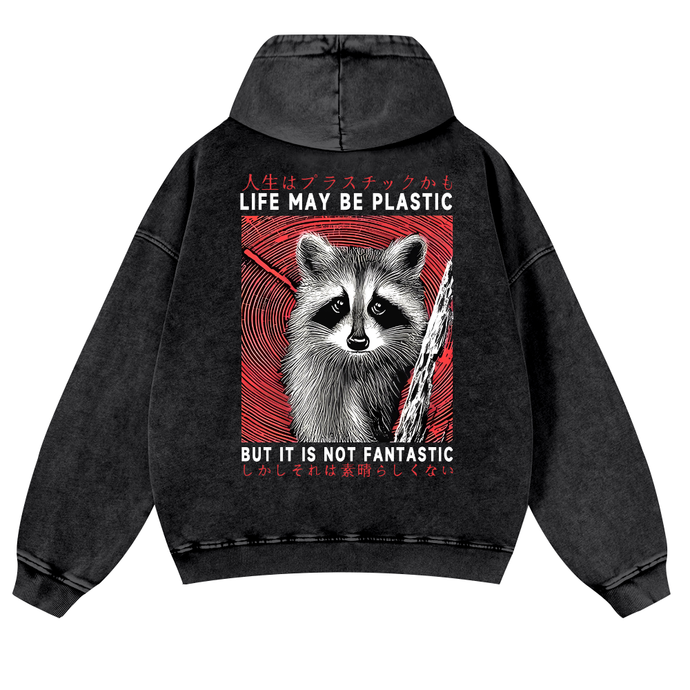 Raccoon Vintage Washed Cotton Back Art Hoodie