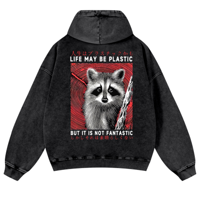 Raccoon Vintage Washed Cotton Back Art Hoodie