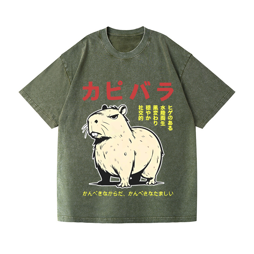 Capybara Vintage Wash Japanese Design T-Shirt