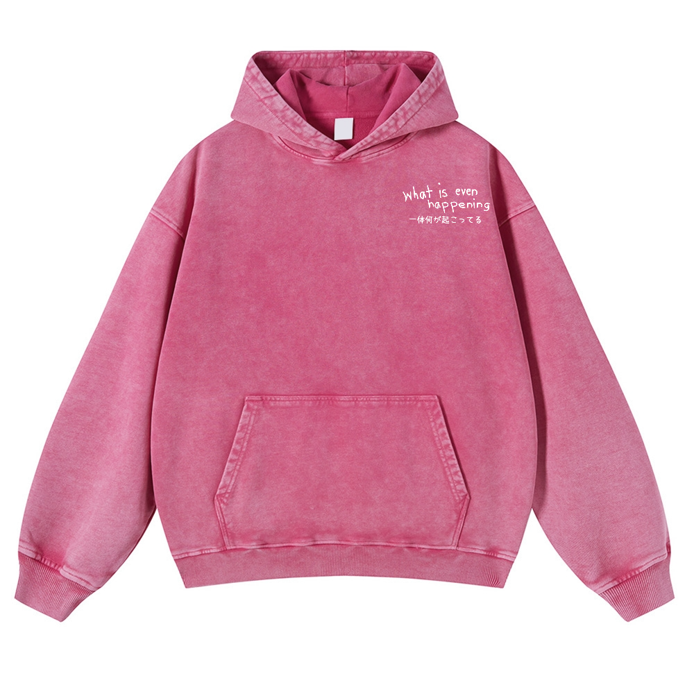 What Is Even Happening Vintage Washed Cotton Back Art Hoodie
