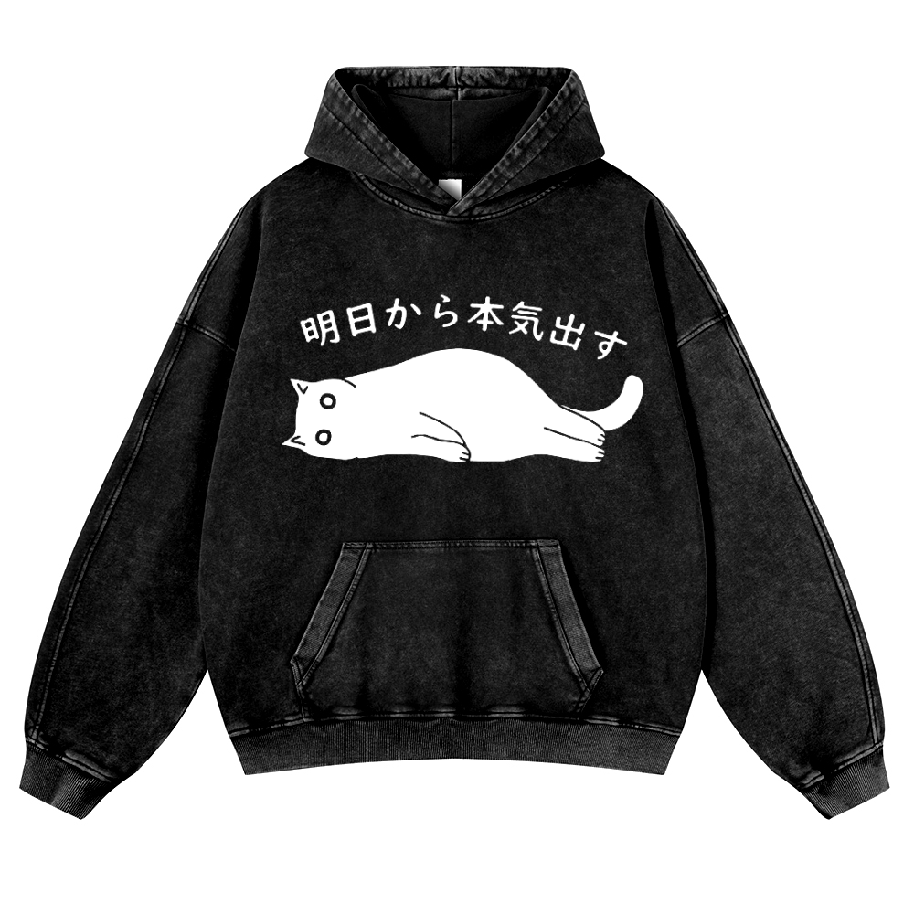 Get Serious from Tomorrow Onwards Vintage Washed Thick Cotton Hoodie