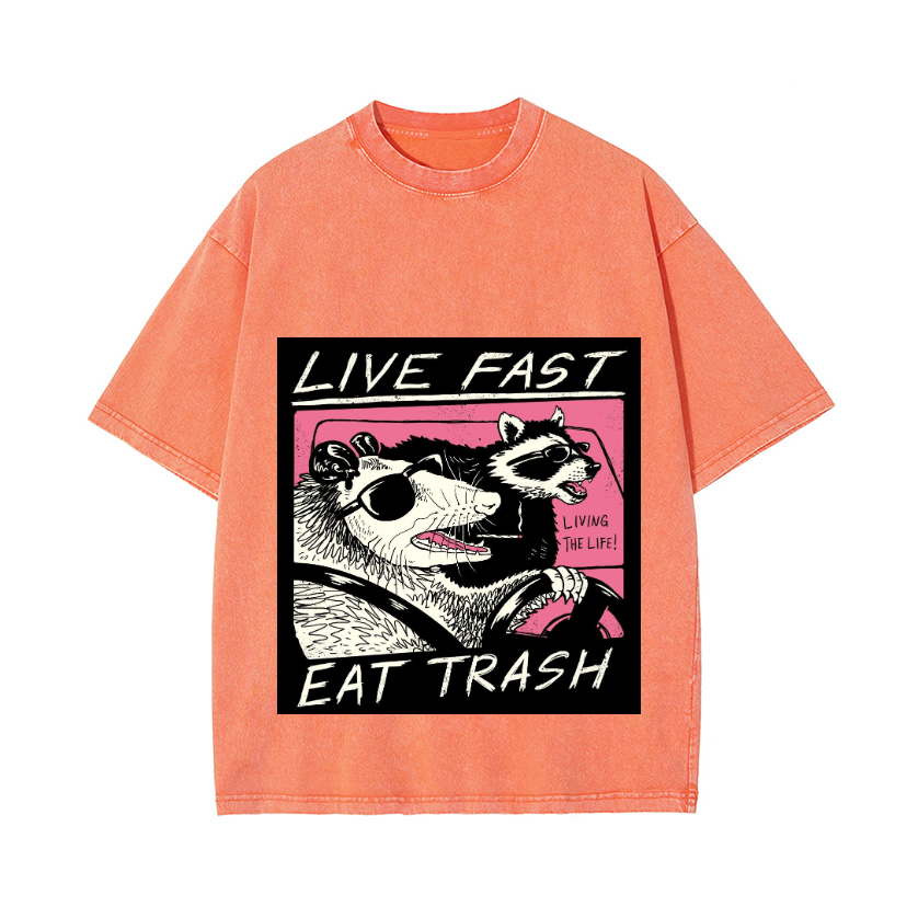 Raccoon Vintage Wash Japanese Design T-Shirt
