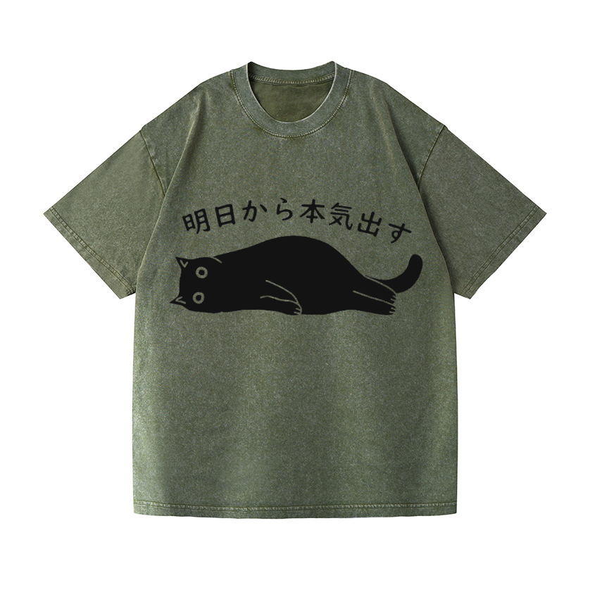 Vintage Wash Japanese Design T-Shirt