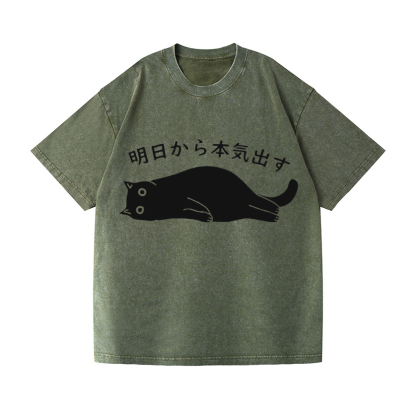 Vintage Wash Japanese Design T-Shirt