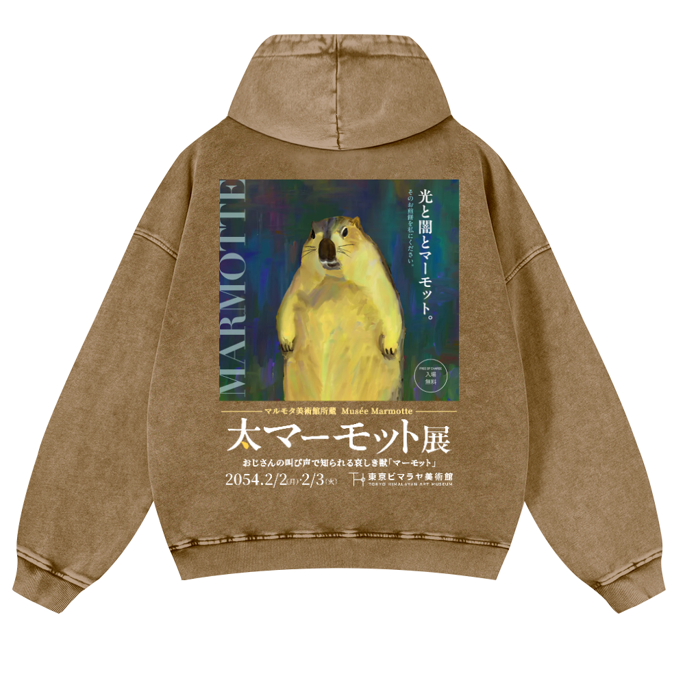 Marmot Vintage Washed Cotton Back Art Hoodie